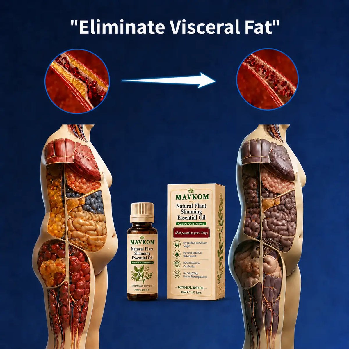 Eliminate visceral fat